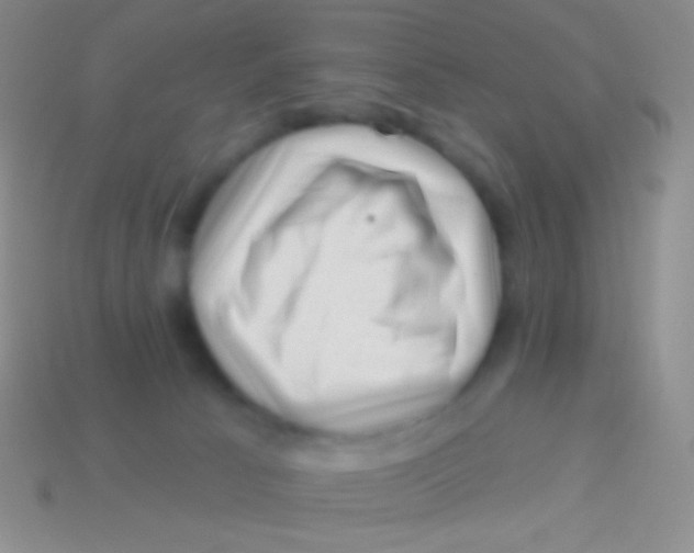 X0000113610033200910161939