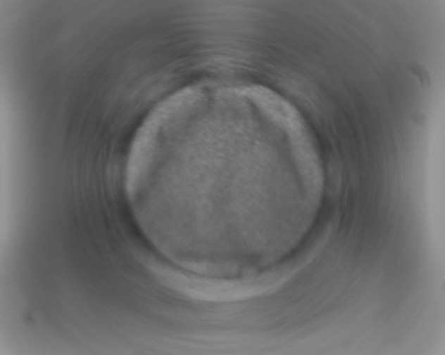 X0000113610034200910161939