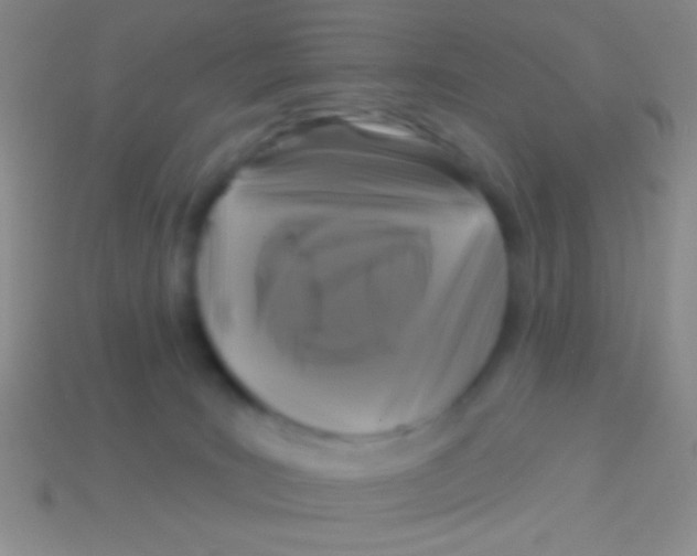 X0000113610035200910161939