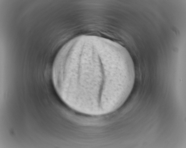 X0000113610036200910161939