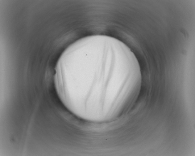 X0000113610037200910161939