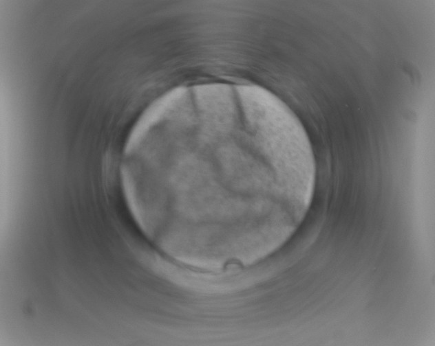 X0000113610038200910161939