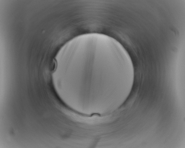 X0000113610039200910161939