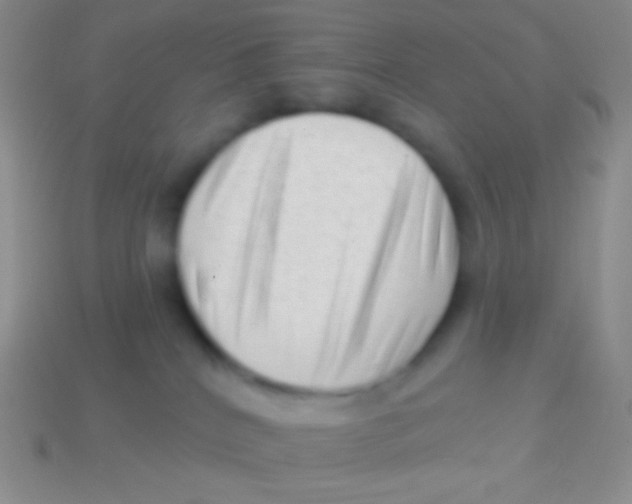 X0000113610040200910161939