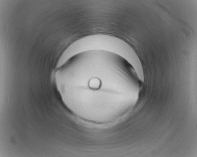 X0000113610047200910161939