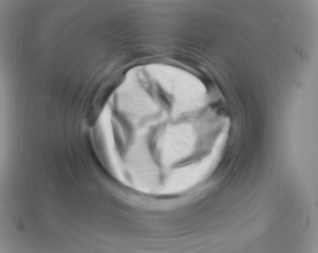 X0000113610048200910161939