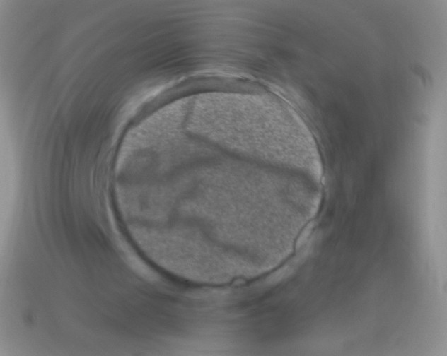 X0000113610049200910161939