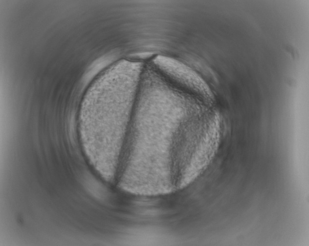 X0000113610051200910161939