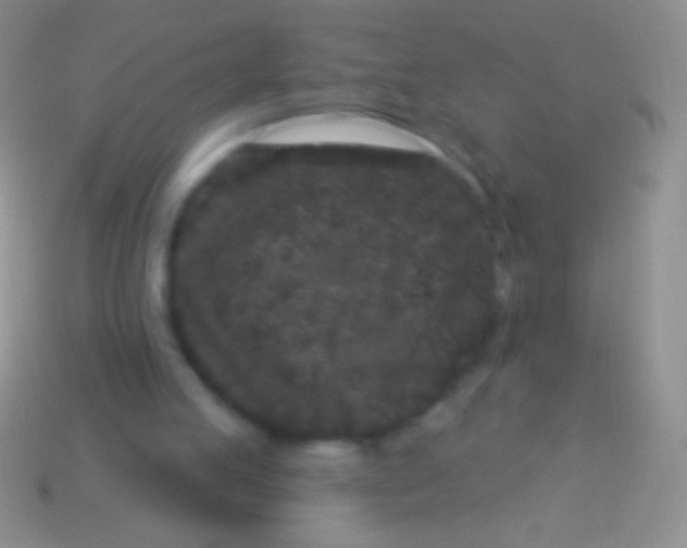 X0000113610053200910161939