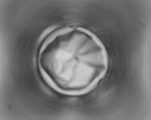 X0000113610054200910161939