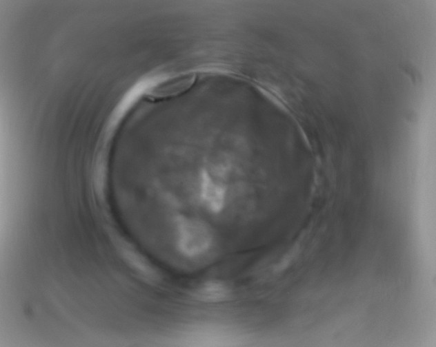 X0000113610056200910161939