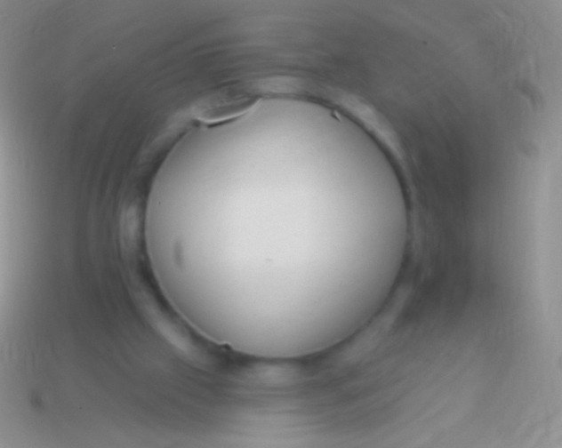 X0000113610057200910161939