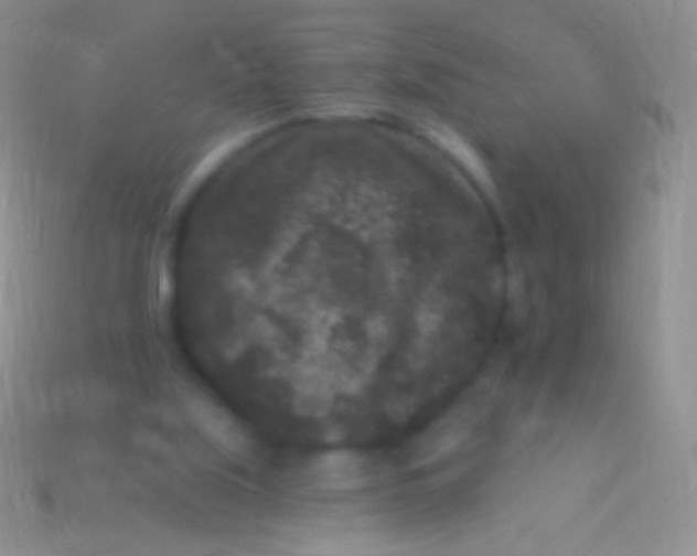 X0000113610059200910161939