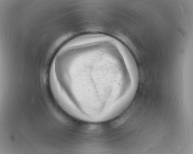 X0000113610060200910161939