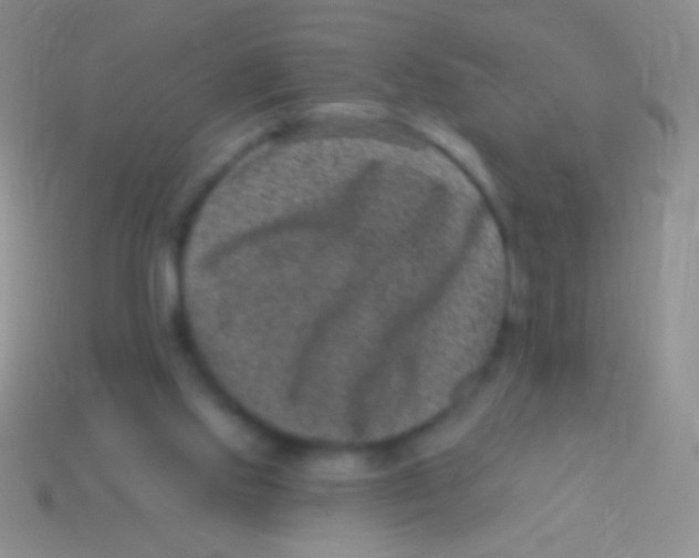 X0000113610061200910161939