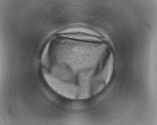 X0000113610063200910161939