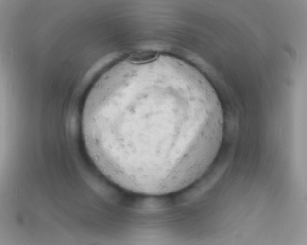 X0000113610064200910161939