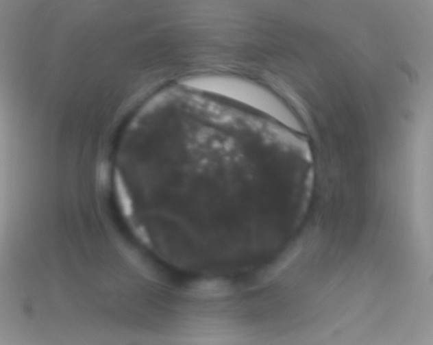 X0000113610067200910161939