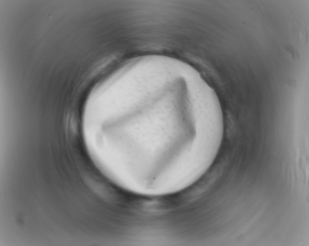 X0000113610068200910161939