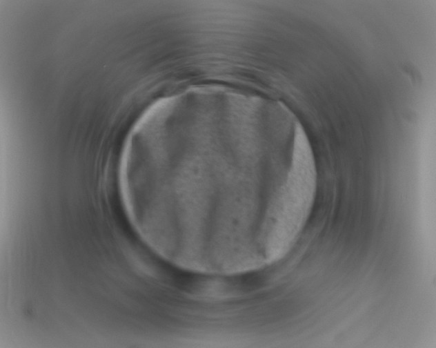 X0000113610074200910161939