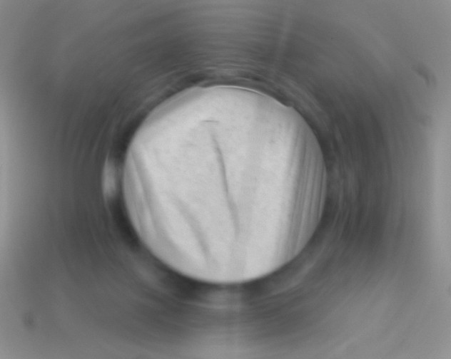 X0000113610075200910161939