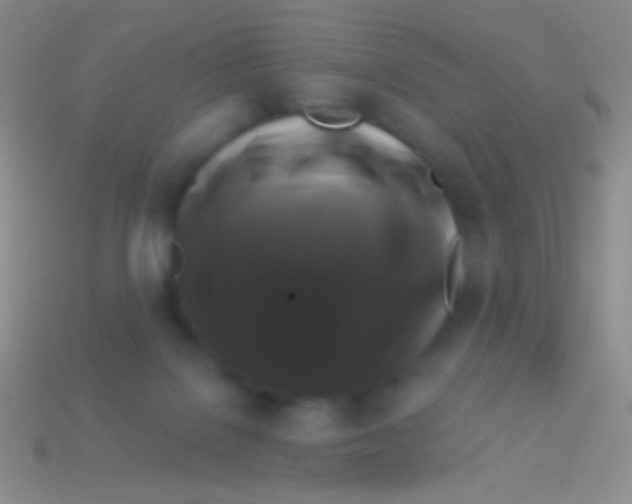 X0000113610076200910161939