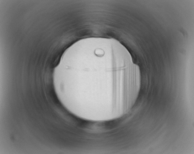 X0000113610078200910161939