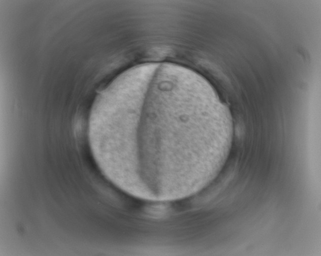 X0000113610079200910161939