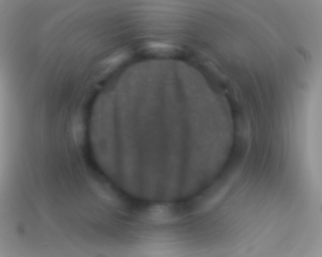 X0000113610080200910161939