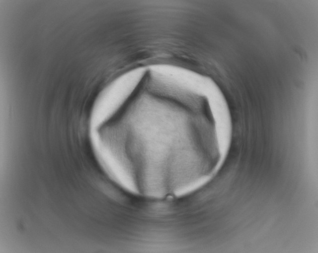 X0000113610081200910161939