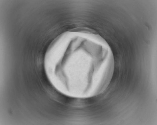 X0000113610082200910161939