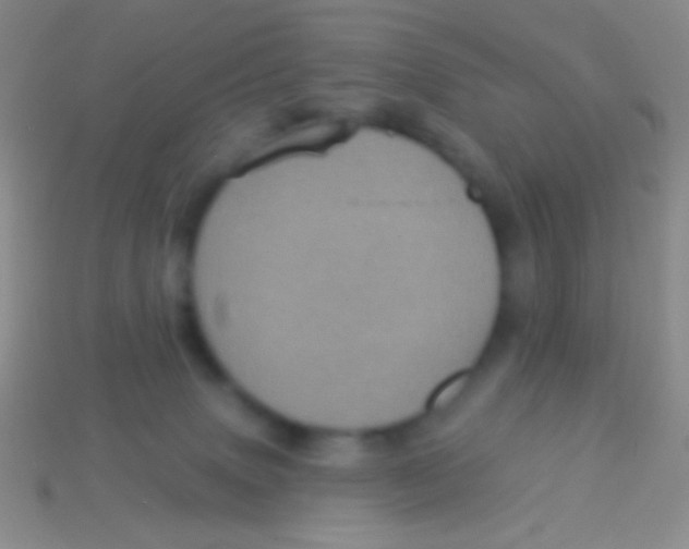 X0000113610083200910161939