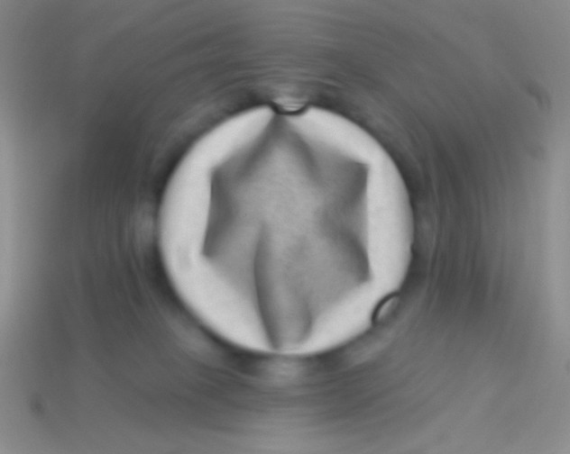 X0000113610085200910161939