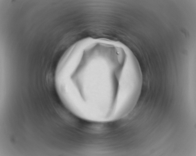 X0000113610086200910161939