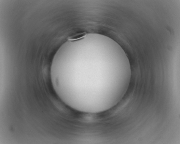 X0000113610088200910161939