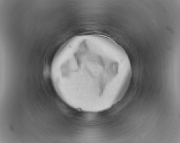 X0000113610089200910161939