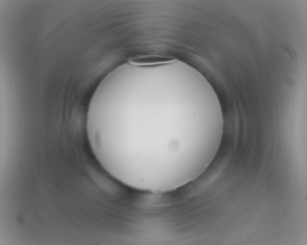 X0000113610092200910161939