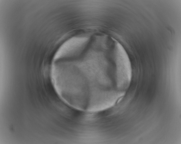 X0000113610093200910161939