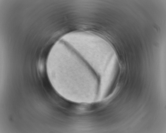 X0000113610094200910161939