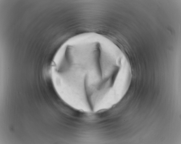 X0000113610095200910161939