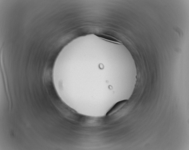 X0000113610096200910161939