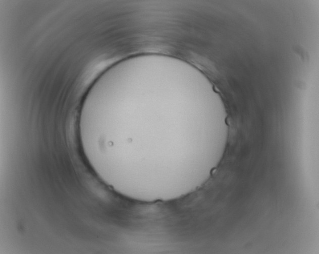 X0000113610098200910161939