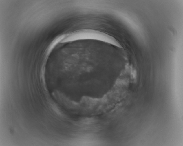 X0000113610099200910161939