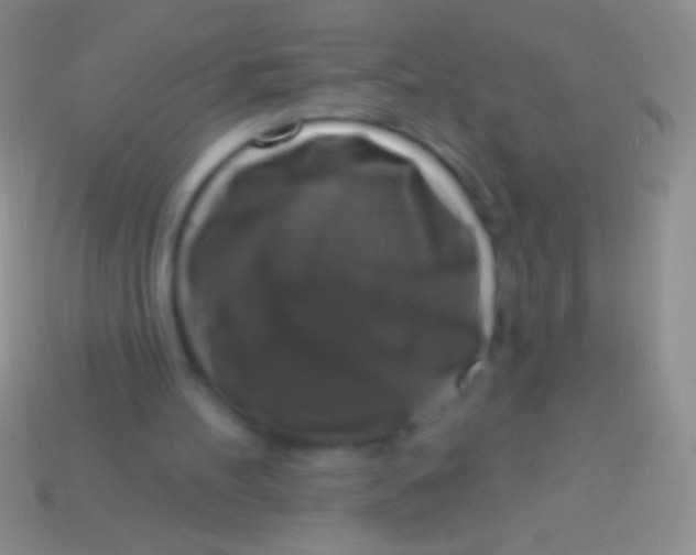 X0000113610100200910161939