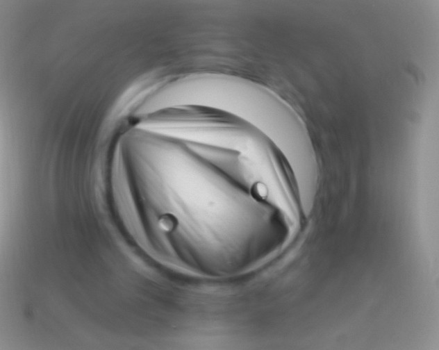 X0000113610101200910161938