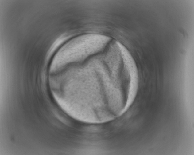 X0000113610102200910161938