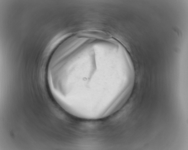 X0000113610103200910161938