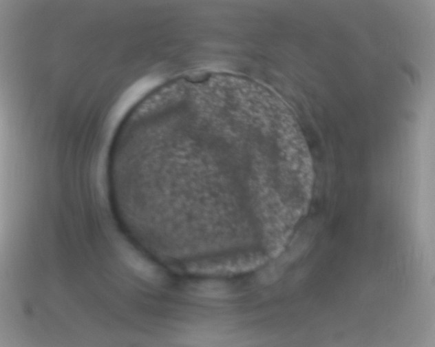 X0000113610104200910161938