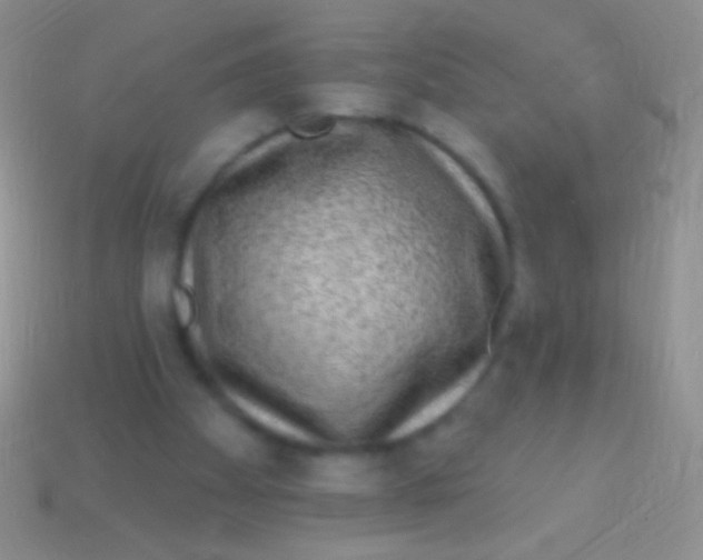 X0000113610105200910161938