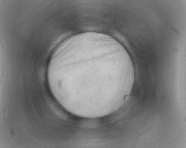 X0000113610106200910161938